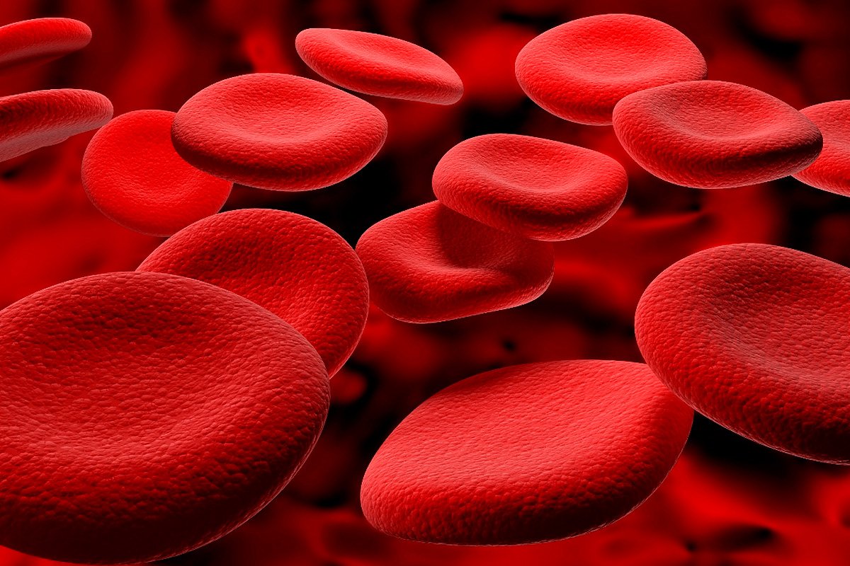 Від чого знижується кількість еритроцитів в крові?